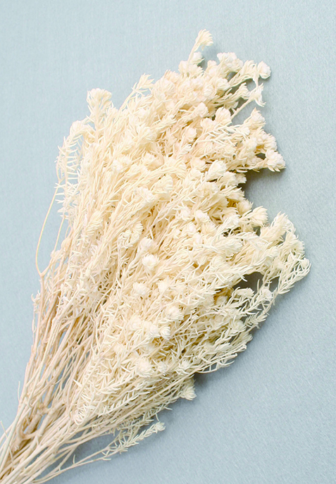 コットンフィリカ　サラシ　10364