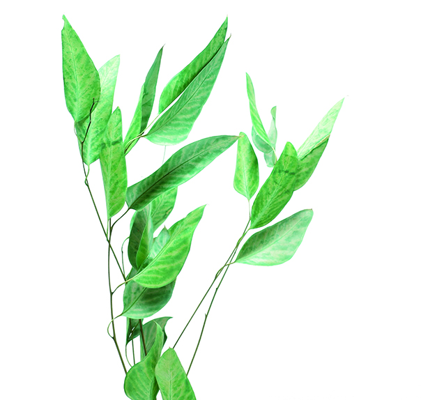 ウィローユーカリ　グリーン　10375