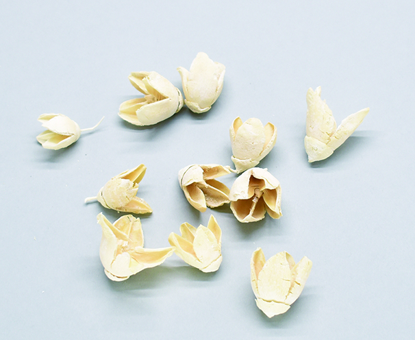 バクリ　サラシ　10405