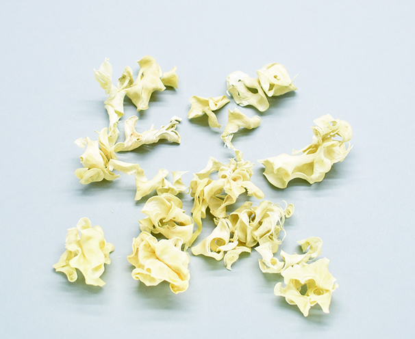 マメカラ　サラシ　10406