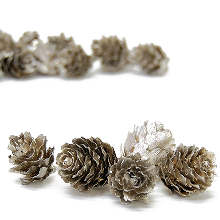 グイマツ　プラチナ　10621