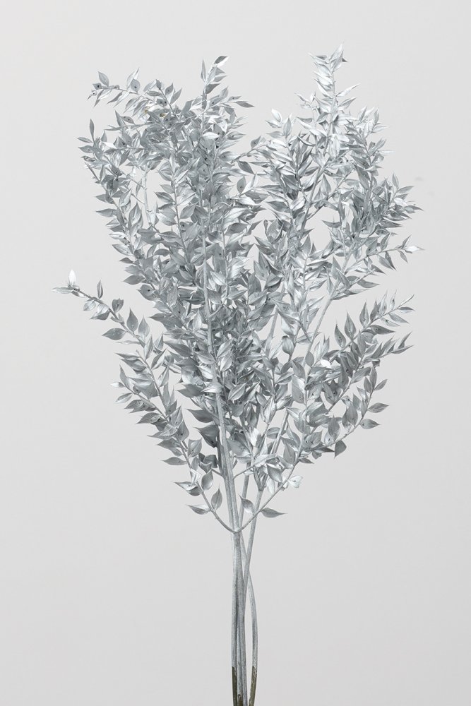 ラスカス　シルバー　10690-912