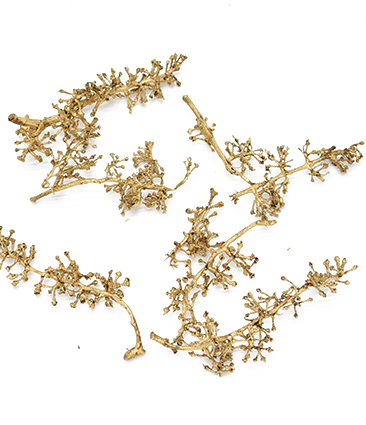 グレープクラスター　ゴールド