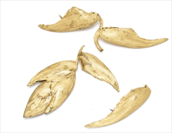 ヘリコニア・チップ　ゴールド