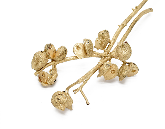 ハケア・ブランチ　ゴールド　10745