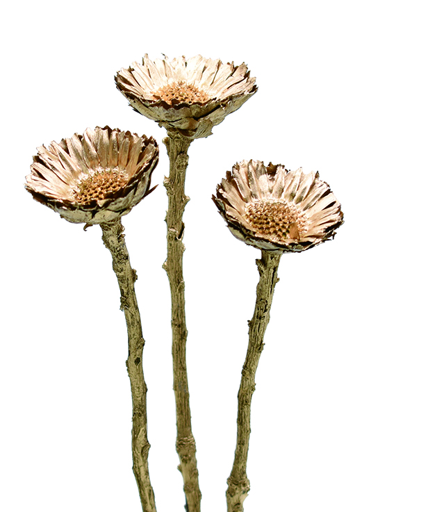 コンパクターフラワー　ゴールド　10754