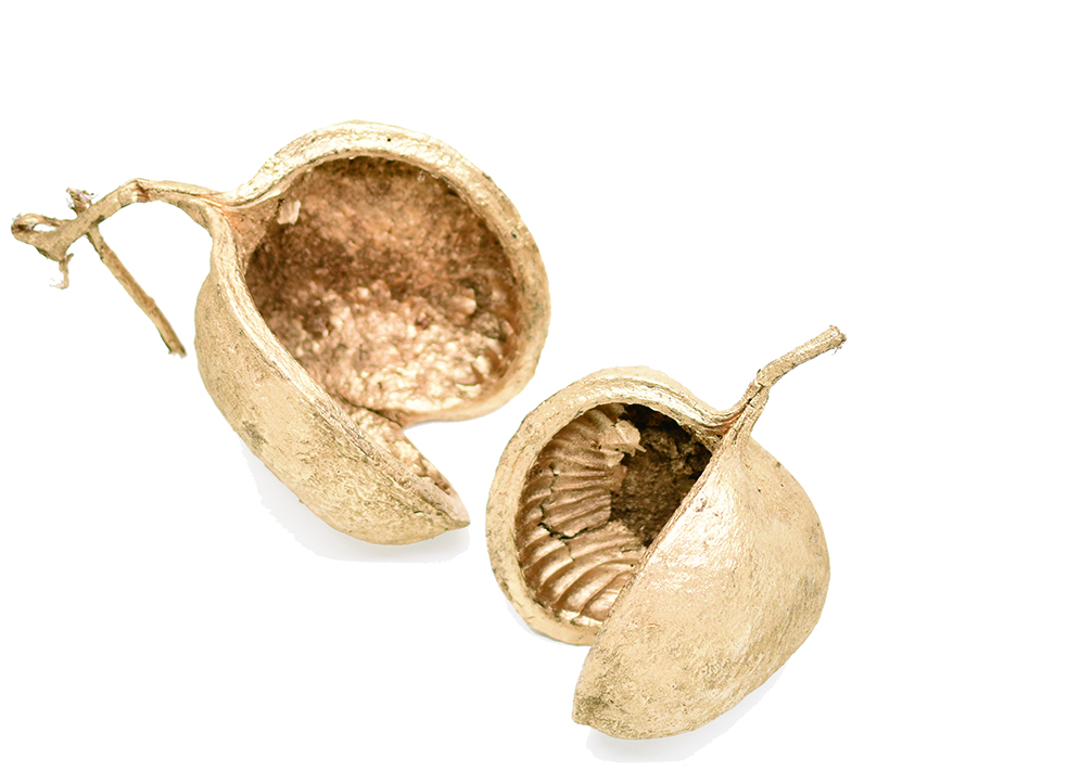 ブッダナッツ　ゴールド　10763