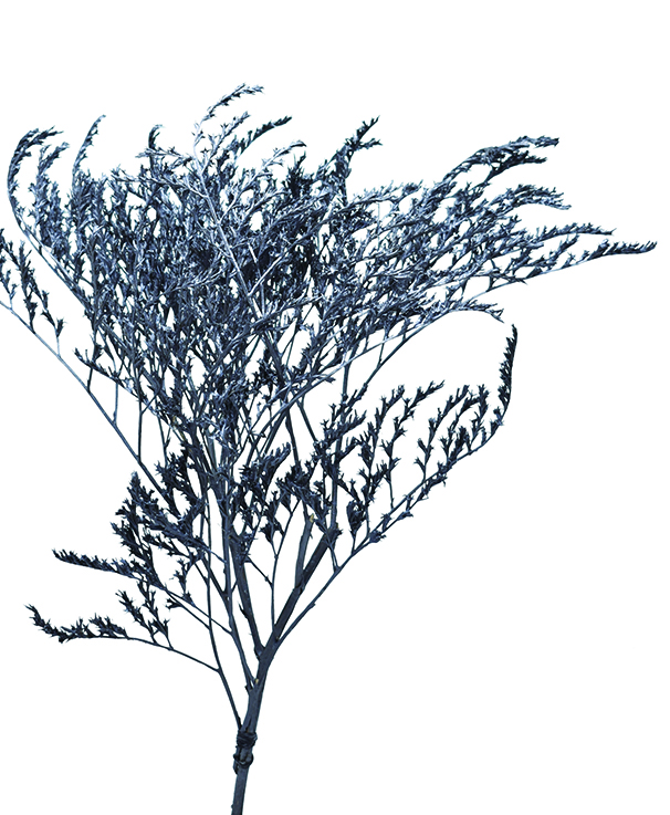 タタリカ　スチールグレイ　10771