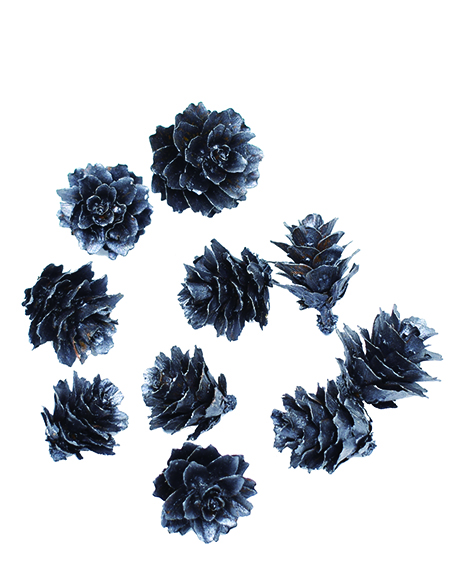 グイマツ　スチールグレイ　10773