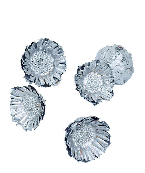 コンパクターヘッド　シルバー　10787