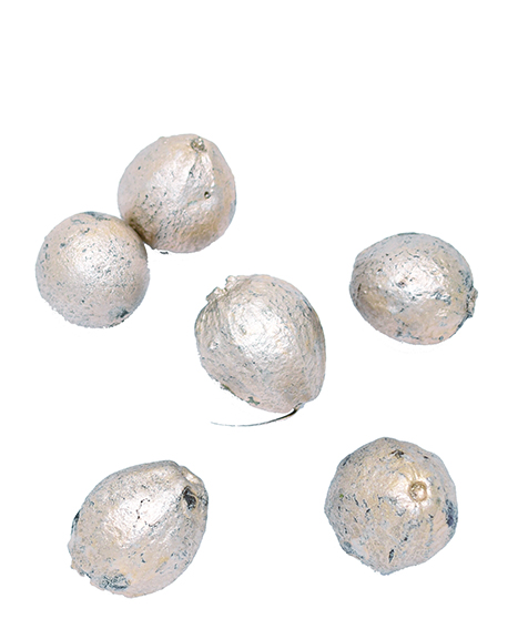 ベガポット　プラチナ　10789