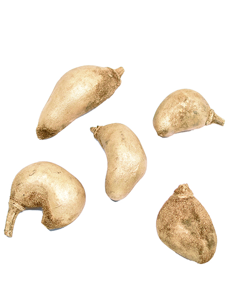 バオバブ・ミニ　ゴールド　10811