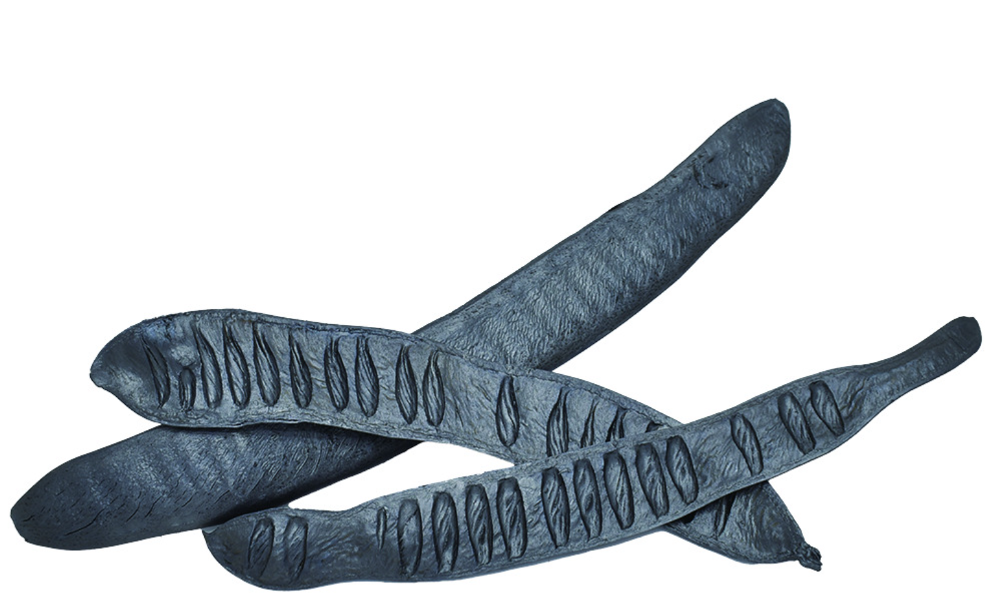 ステップフルーツ　スチールブルー　10823