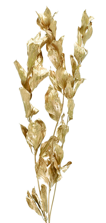 ルスカス　ゴールド　10825