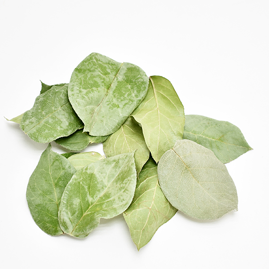 レモンリーフ・チップ　ナチュラル　12303