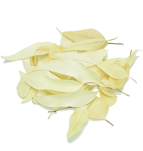 ブリーチリーフ・ミックス　サラシ　12305