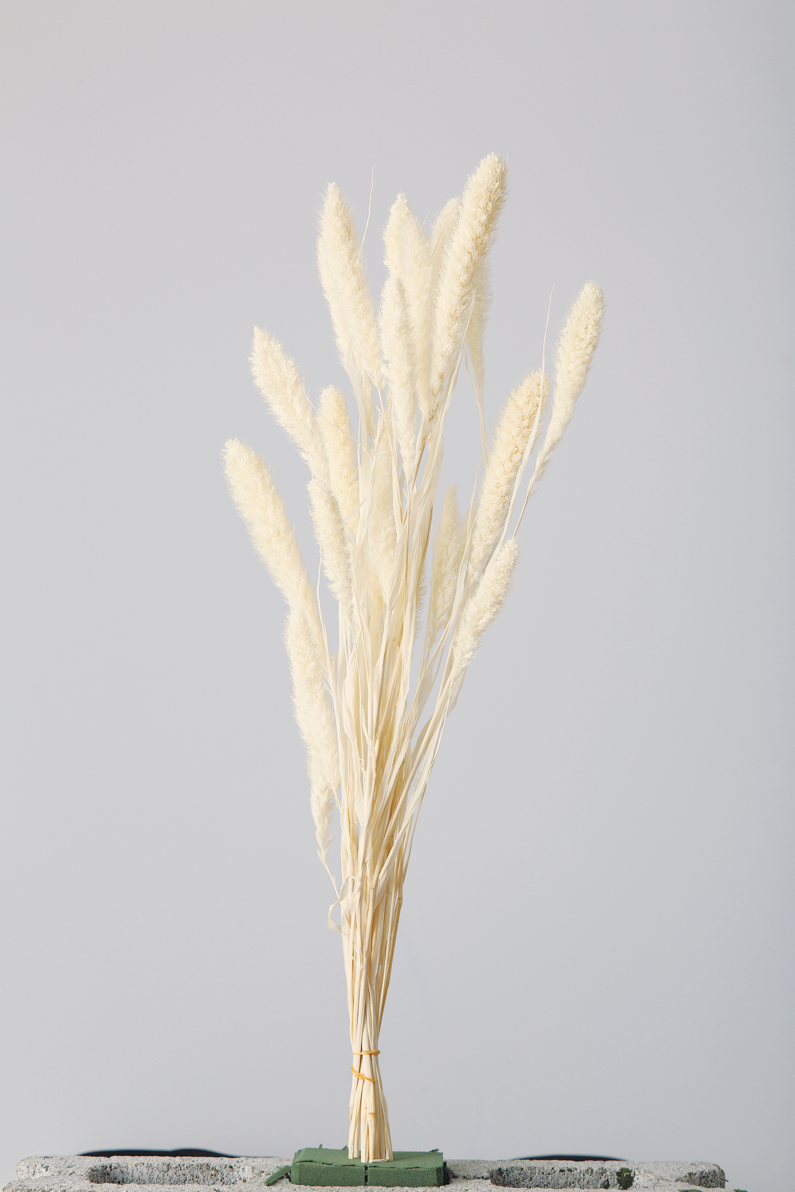 セタリア　オフホワイト　14500-011