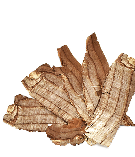 キノコスライス　ナチュラル