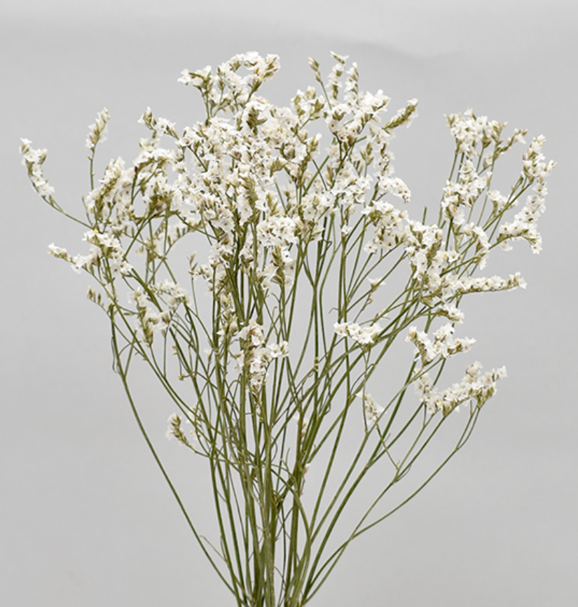 HBチース　ナチュラルホワイト系　17368