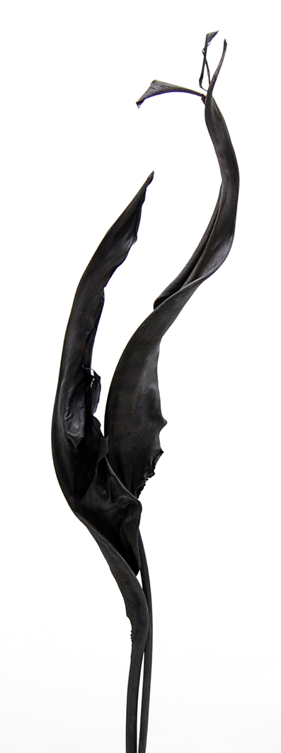 ストレチアリーフ　ブラック