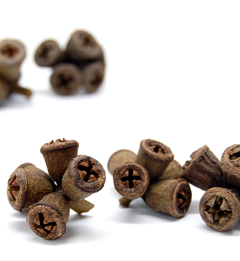 コニカルガム　ナチュラル