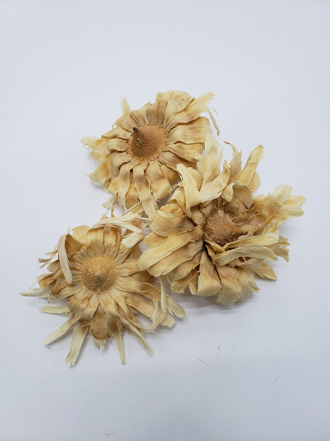 サルフレア・ベース  サラシ（ベージュ）