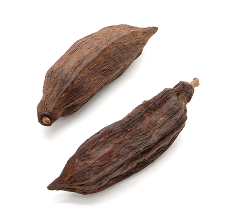 カカオホール・小　　ナチュラル