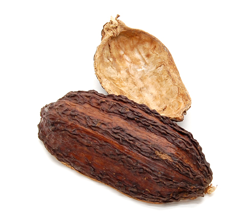 カカオホール・トレイ　　ナチュラル