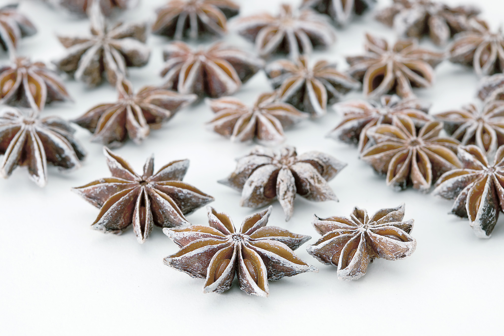 スターアニス　スノー　21020-982