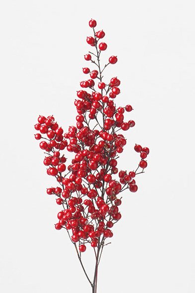 南天の実　レッド(N)　22580-000