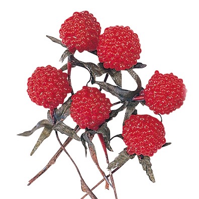 野イチゴ　　レッド