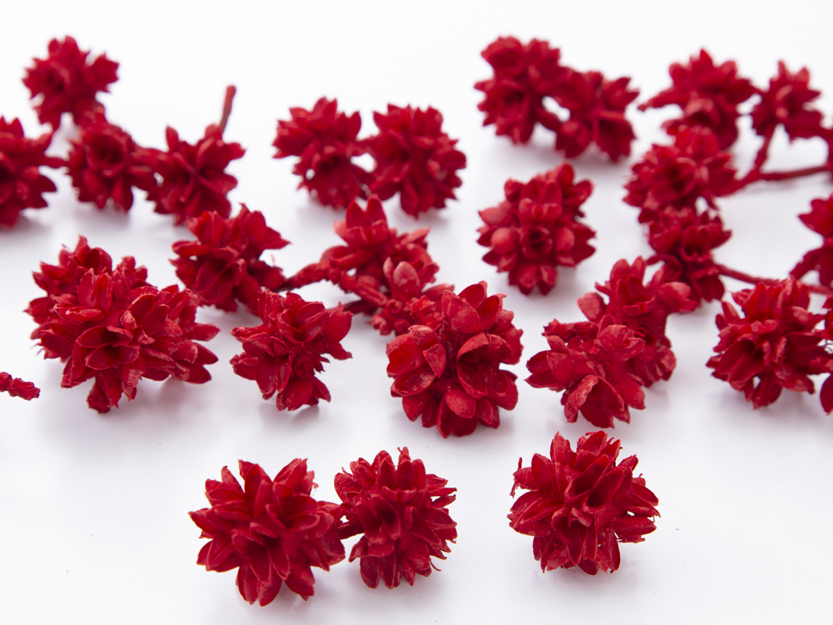 フラワーコーン　レッド　24710-301