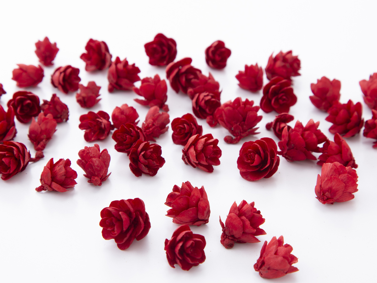 タマラックコーン　レッド　24720-300