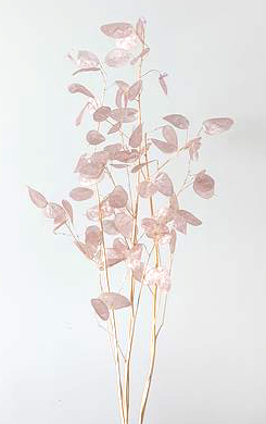 ルナリア　ピンクベージュ　30073-081　※2025年販売未定