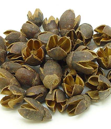 バクリ　ナチュラル