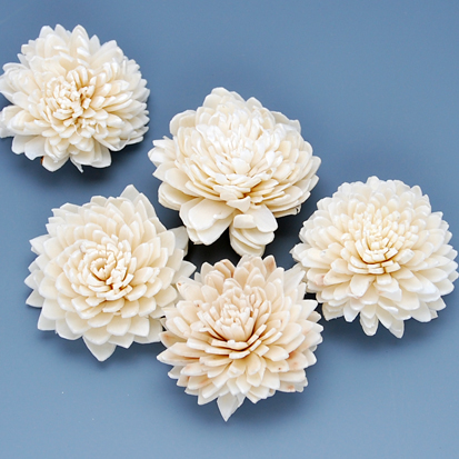 ソーラージニア　白