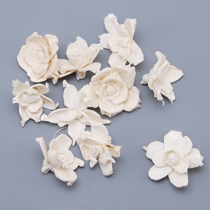 ソーラーガーデニア　白