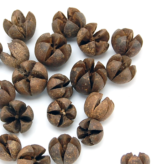 ワラッチポッド　ナチュラル