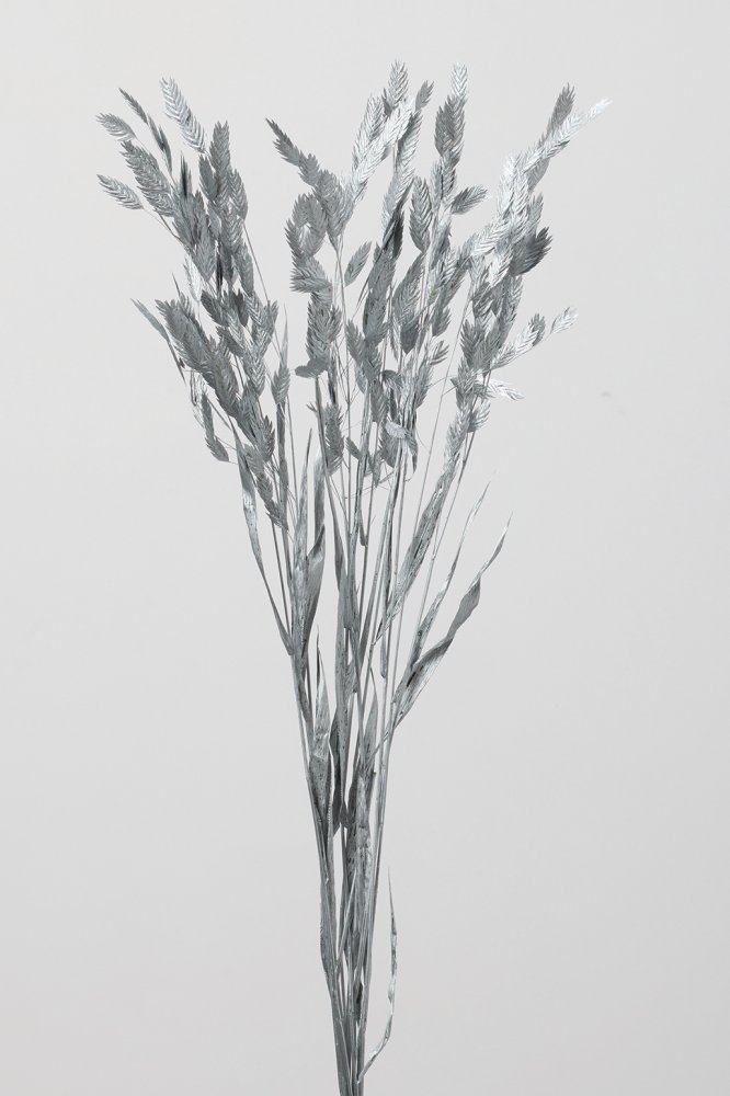 ワイルドオーツ　シルバー　30310-912