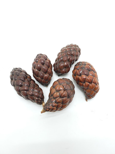 ティカパッド・ファット　ナチュラル