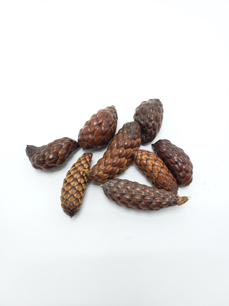 ティカパッド・ファット　スリム＆スモール　ナチュラル