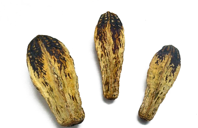 マホガニー　ナチュラル　30371