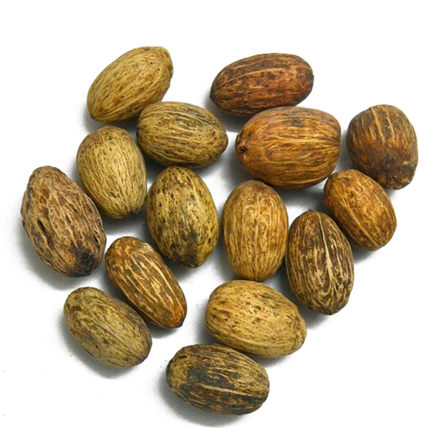 エイエムラーポッド　ナチュラル　30372