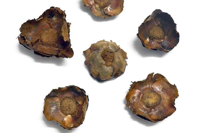 ココフラワーヘッド　ナチュラル　30373