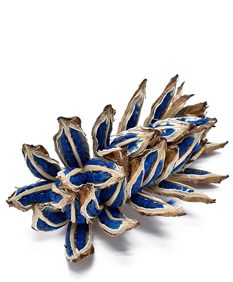 旅人の木　Lサイズ　　ナチュラル　30377