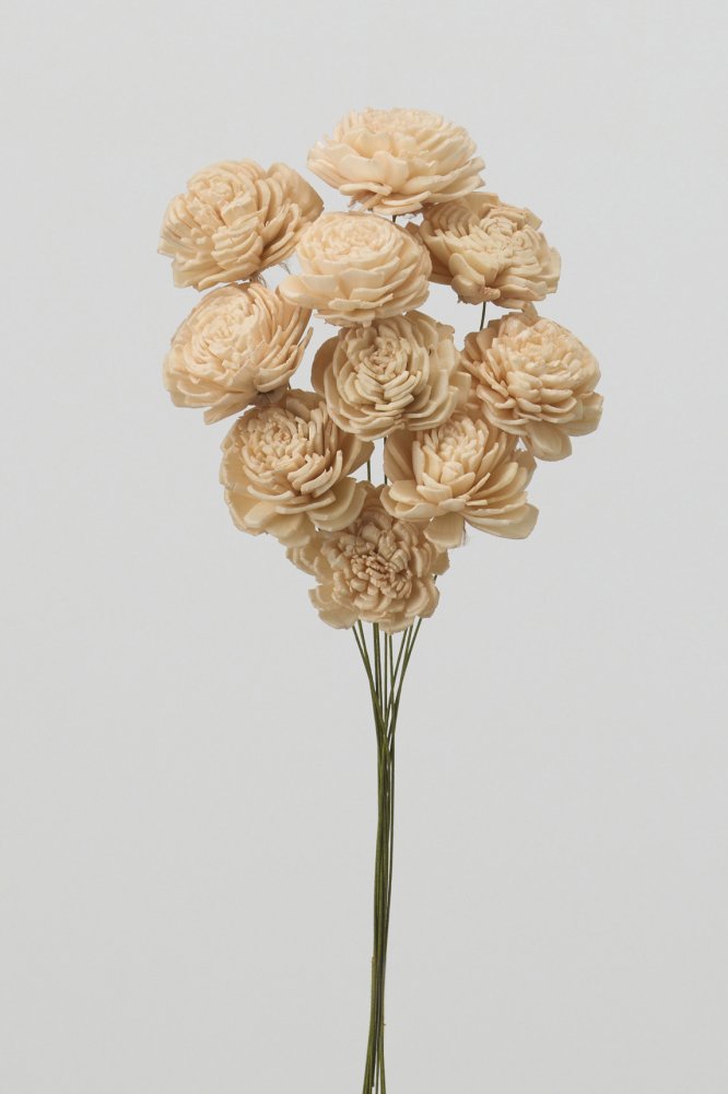 ソーラーローズ・小　シャーベットピーチ　32081-371