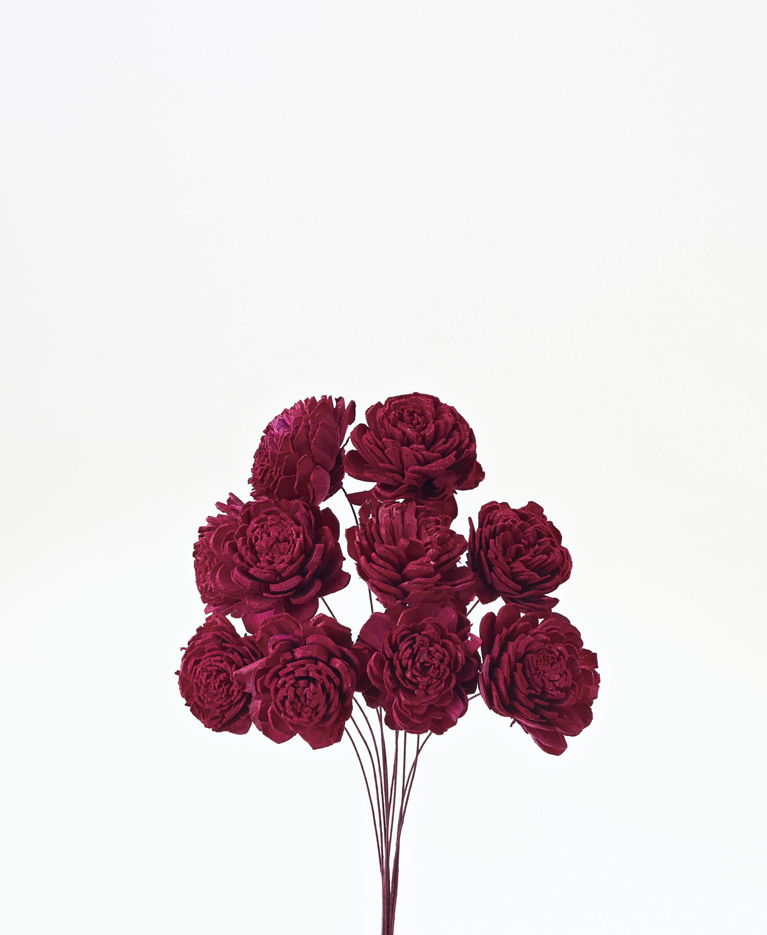 ソーラーローズ・小　　ワインレッド　32081-470