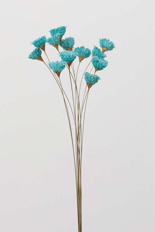 カップフラワー　ブルー　 32320-600