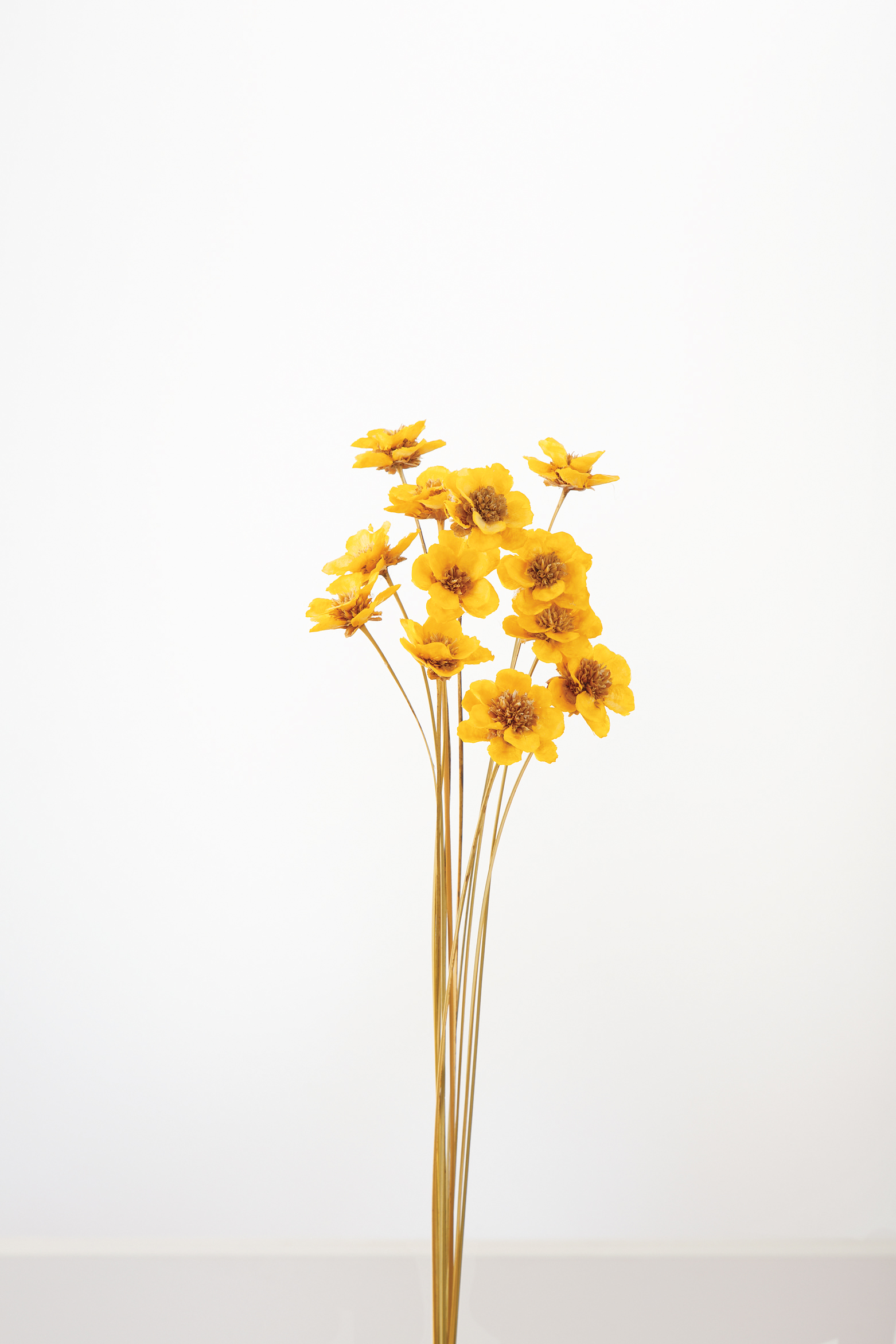 アネモネフラワー　イエロー　32360-500