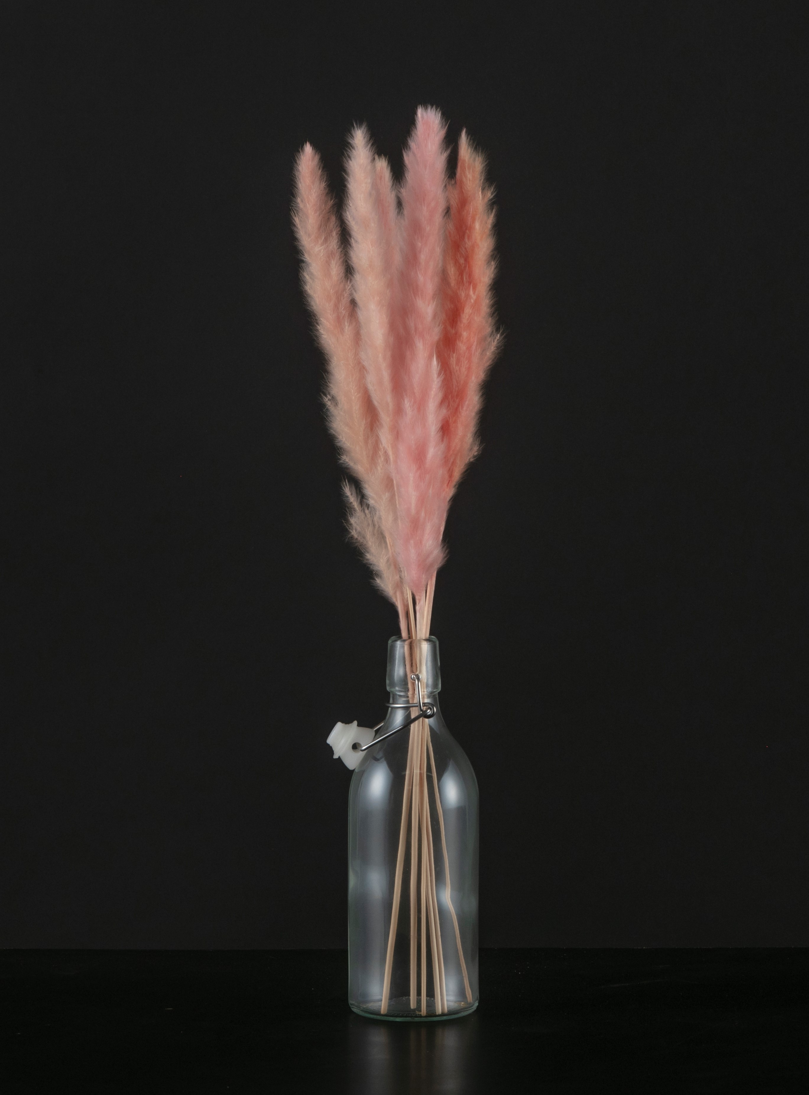 テールリード　ピンク　AN80001-3　メーカー廃盤セール70％OFF